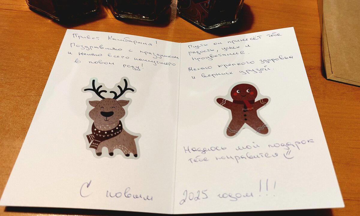 Новогодняя посылка. Продолжение.