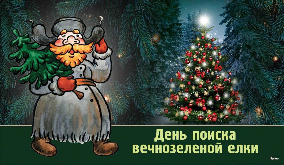 День поиска вечнозеленой елки