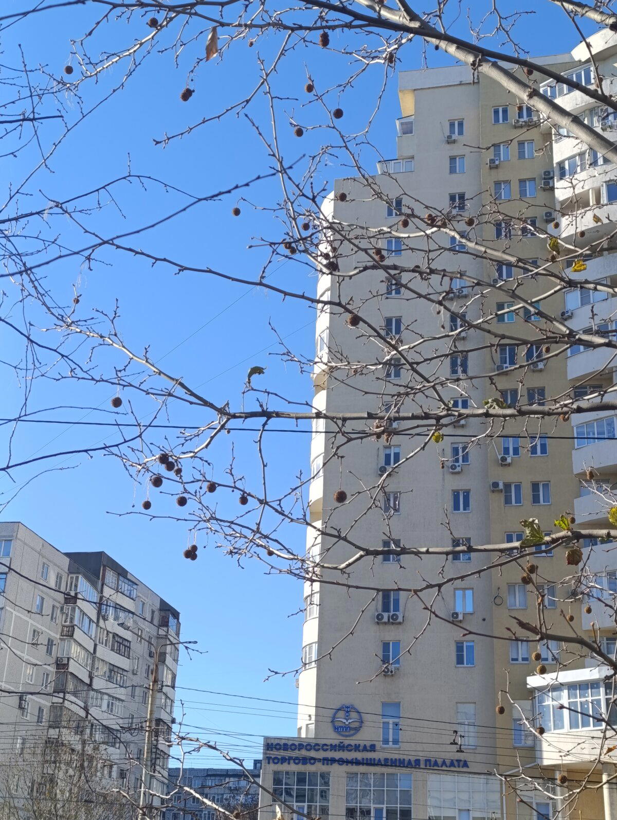 Новогодние украшения Что?