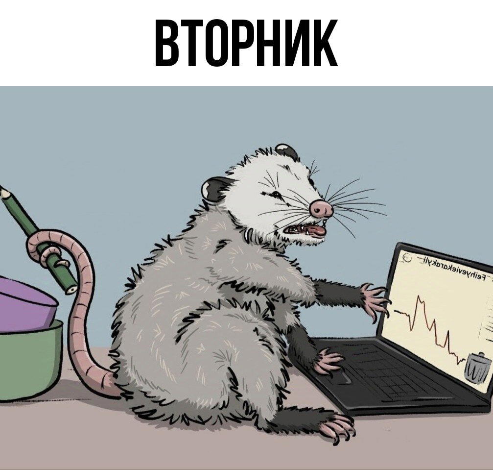 Мой тотемный опоссум каждый день.