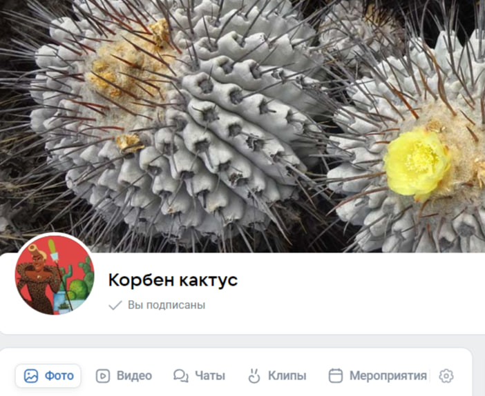 Мои группы