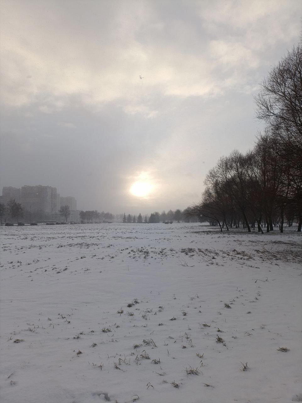 24-12-24. Зима наступила. Фото.