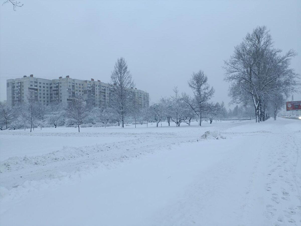 24-12-24. Зима наступила. Фото.
