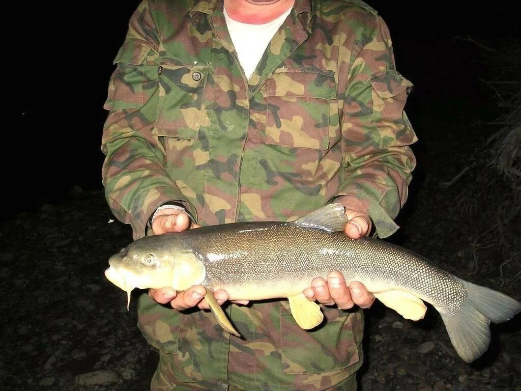 Маринка