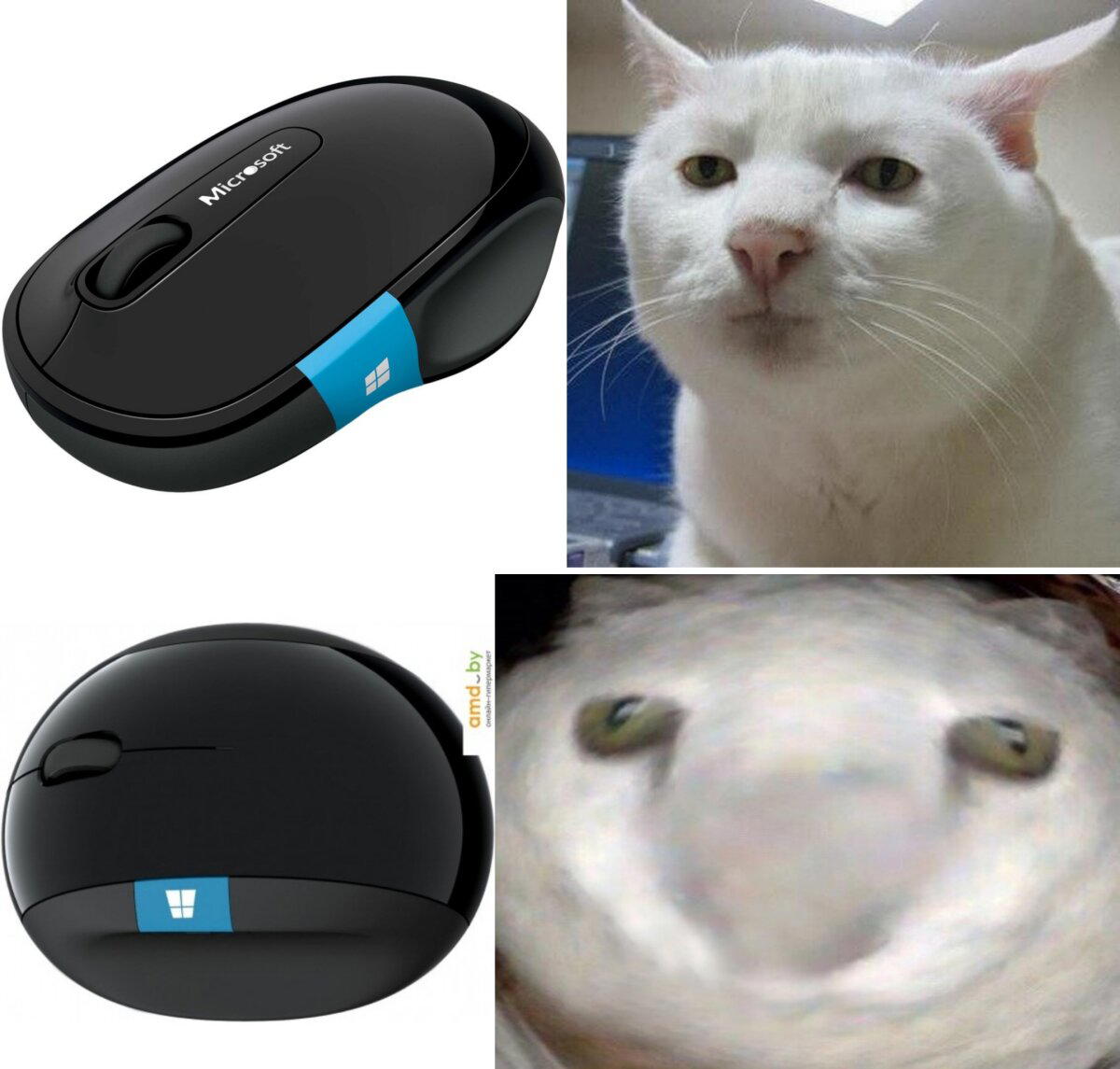 Microsoft mice