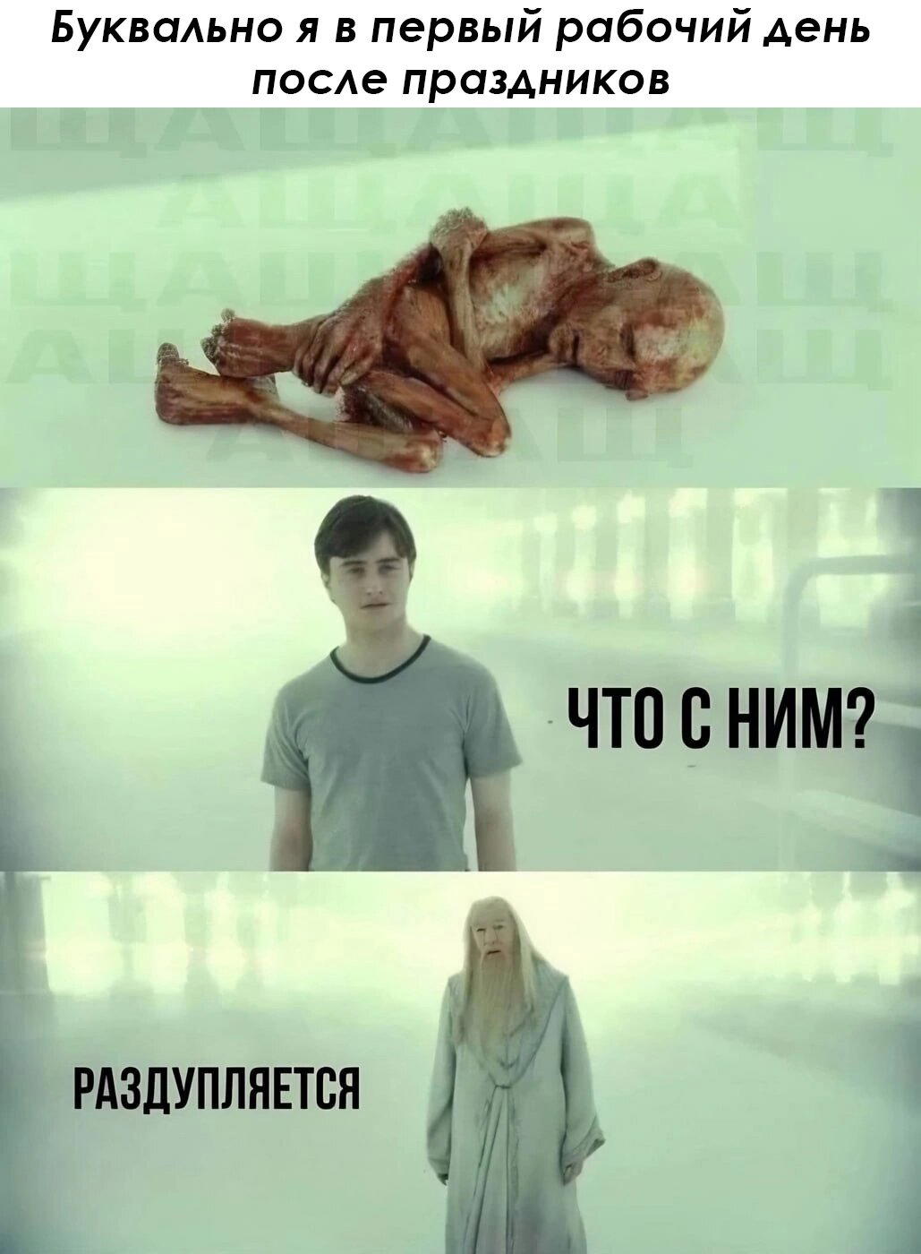 Первый рабочий день.