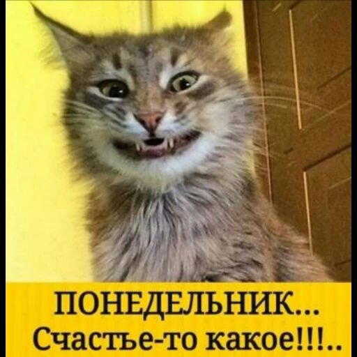 Завтра