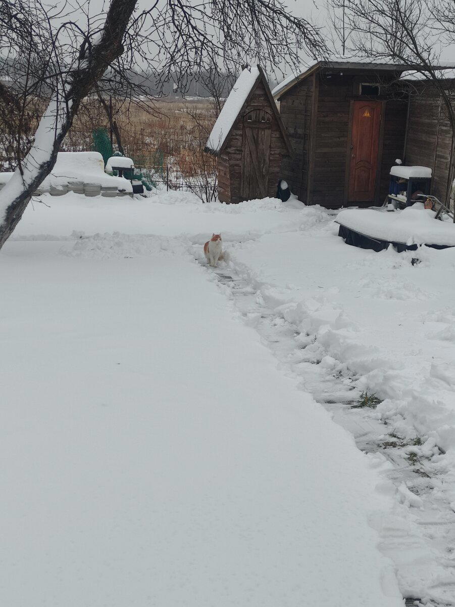 Контроль качества )))