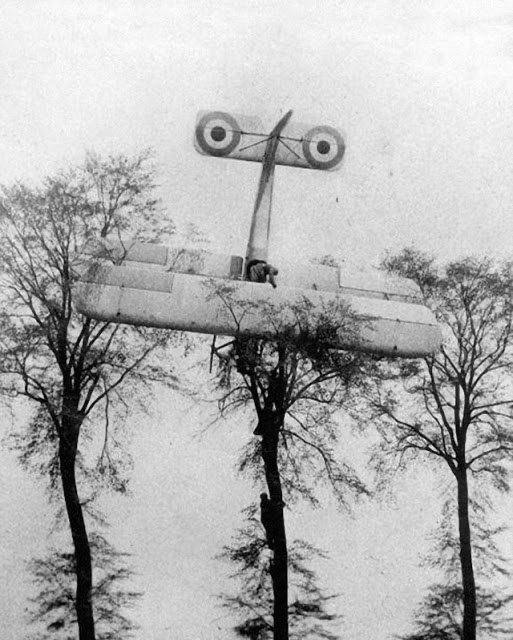 Сбитый французский аэроплан застрял в ветвях близ Брюсселя, 1915 год. На фото видно, как вверх по стволу забираются солдаты.