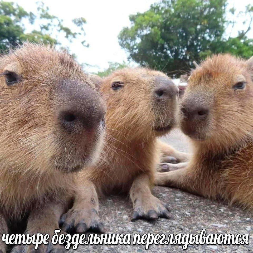 Верно?