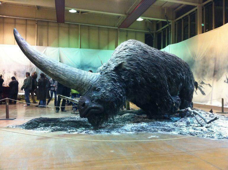 Эласмотерий (лат. Elasmotherium, что означает Зверь с пластинами)
