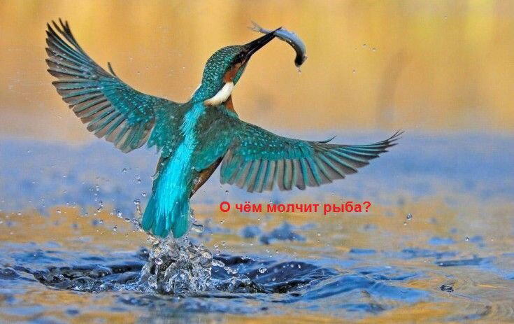 Внимание! Будьте осторожны! Берегите психику!