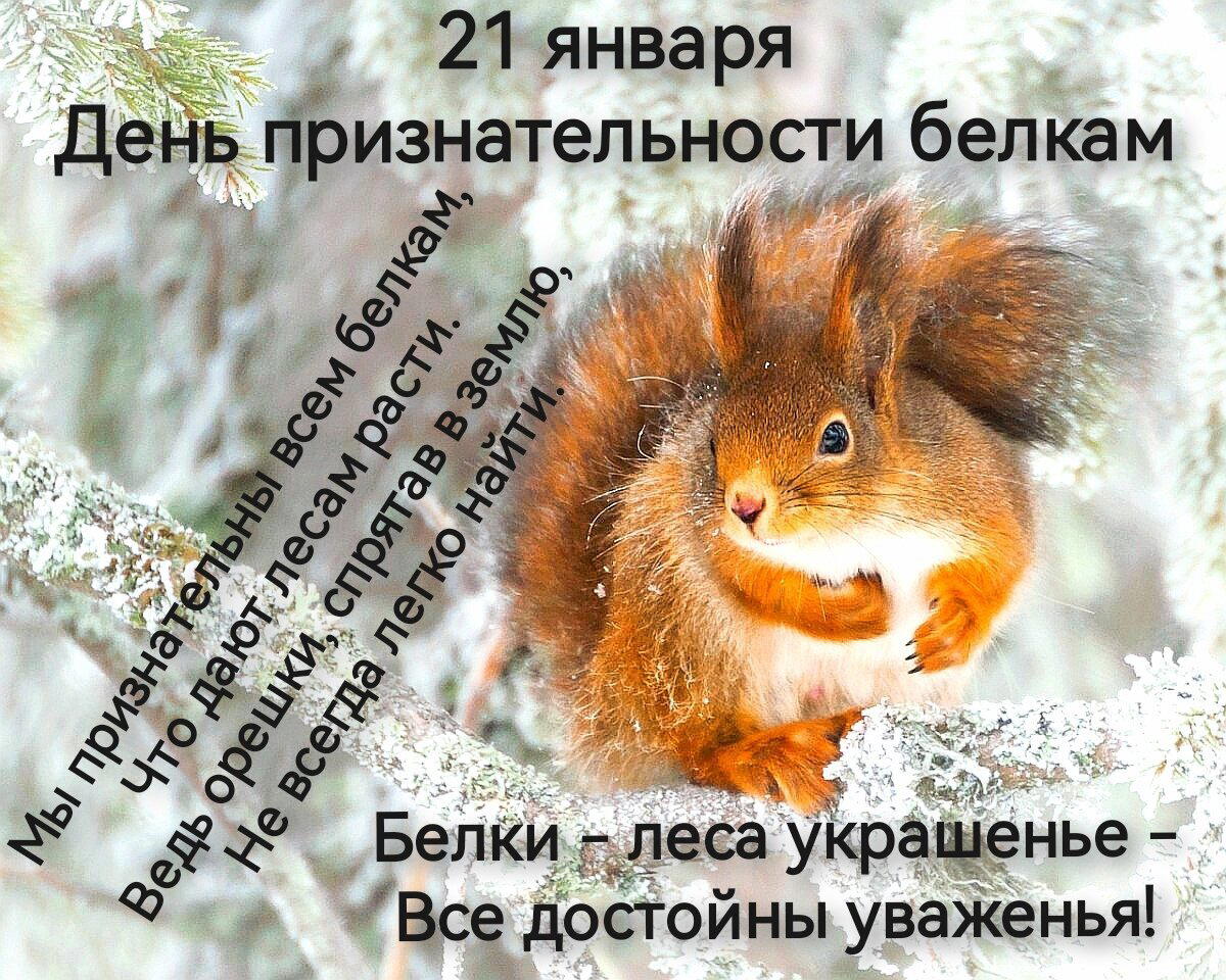фото взято здесь https://dzen.ru/a/Zaa6oQPL_ktRa5Nn