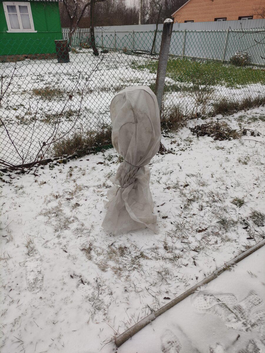 Нормально стоит, не выделяясь на фоне