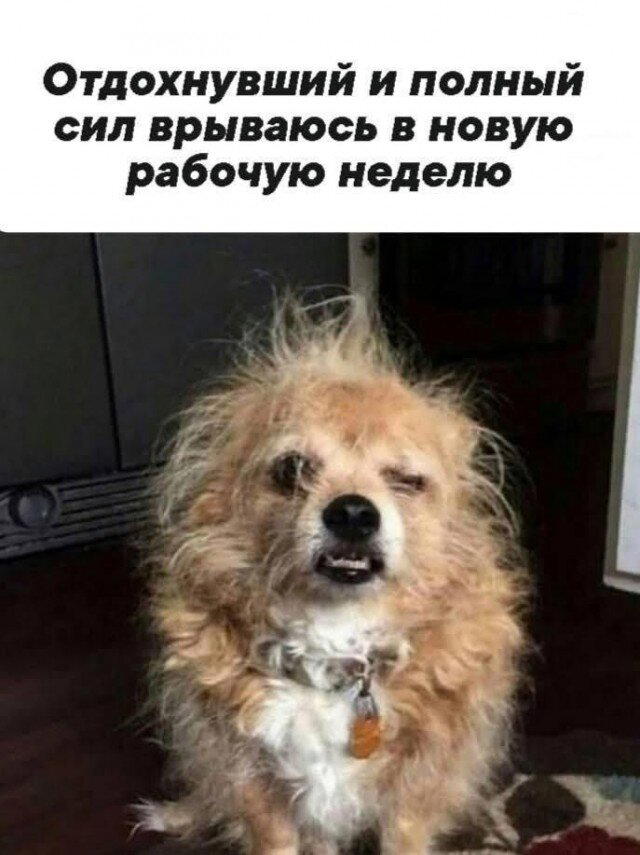 А вот
