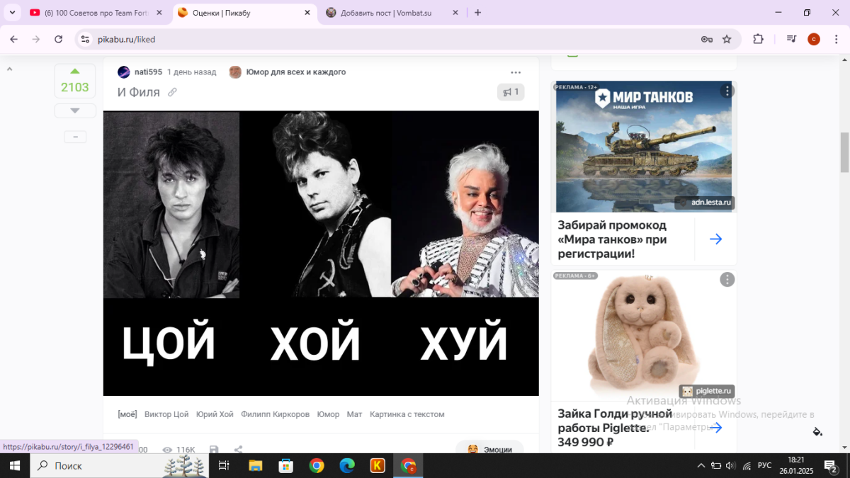 вроде бы обычное мнение. Каждому своё 