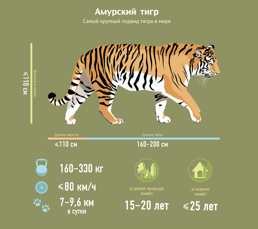 ТТХ указываются с довольно большим разбегом.