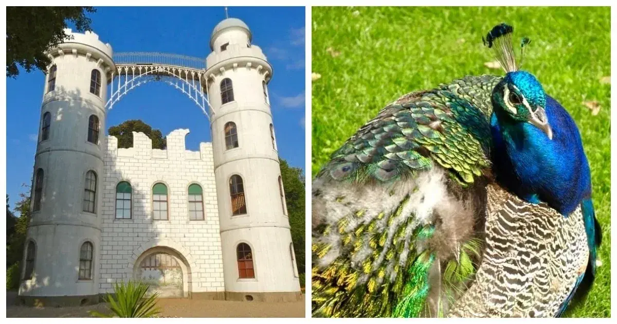 Pfaueninsel - романтический Павлиний остров