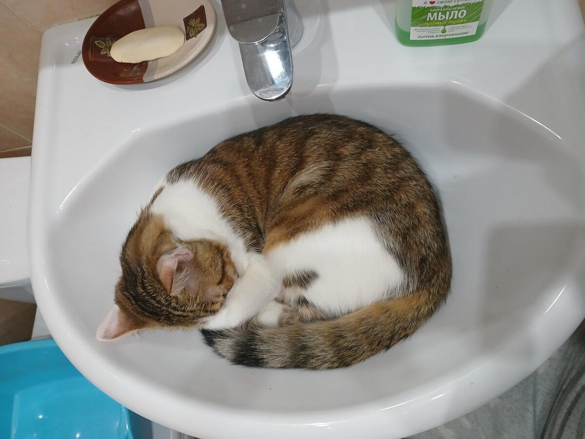 Самое удобное место