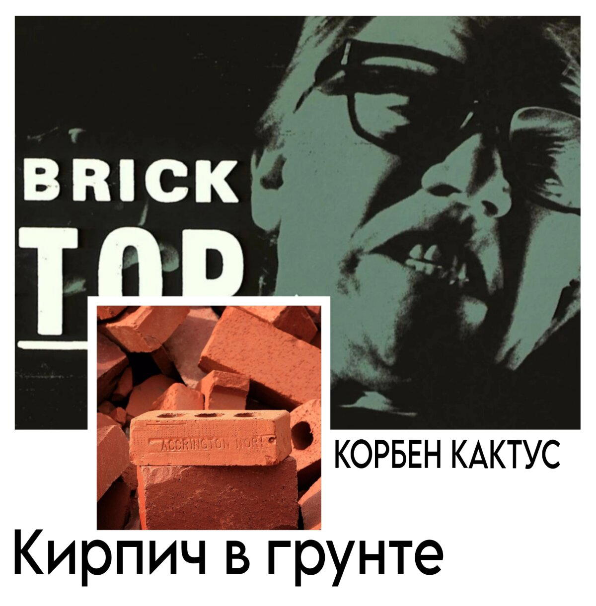 Кирпич, так ли он хорош в грунте для кактусов?