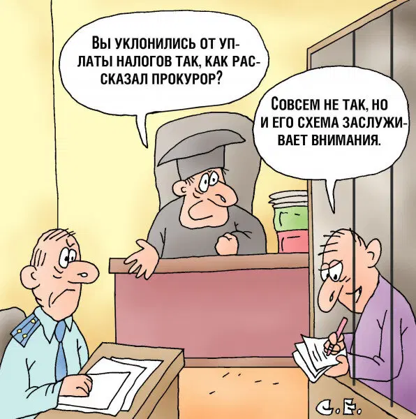 Ивент вомбата. Слово недели ВЗГЛЯД