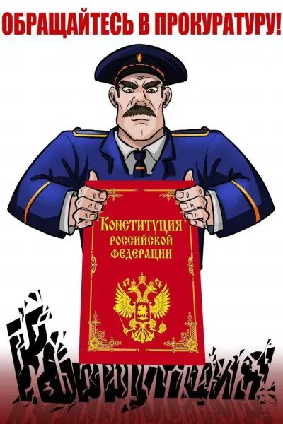 Ивент вомбата. Слово недели ВЗГЛЯД