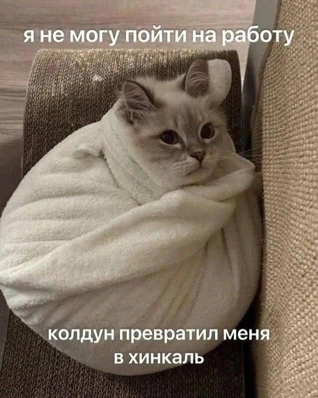 Взгляд на утро понедельника: