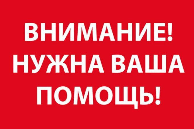 Нужа помощь и куда без вас гуру этой сети Vombat