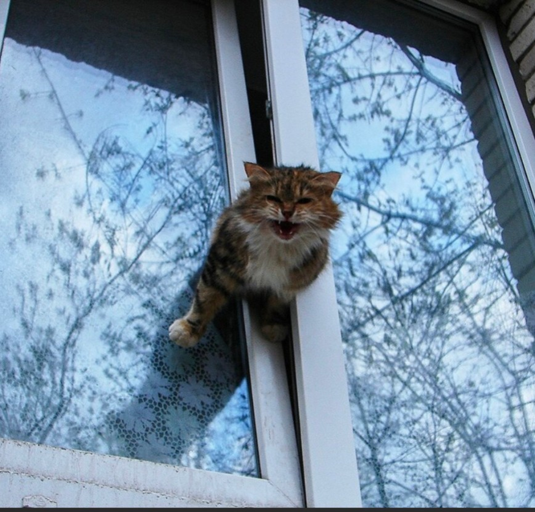 Окна. Москитные сетки. Часть 3.