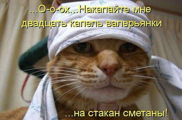 Москвичей предупреждают о рекордном за 13 лет атмосферном давлении.