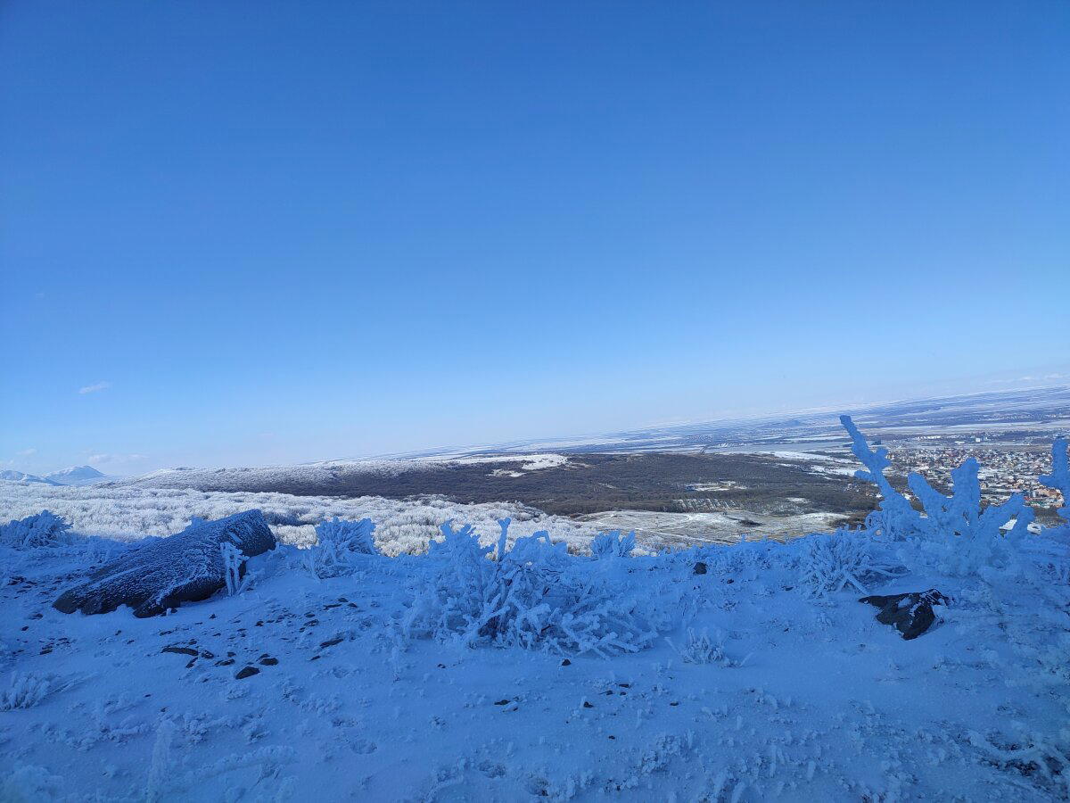 Гуляю пока есть снег. Вчерашнее