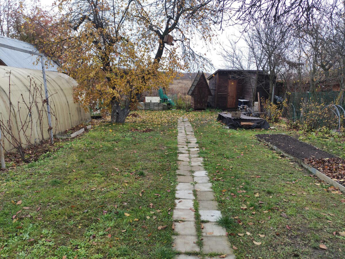 Вот он красавец по центру, осенью. 