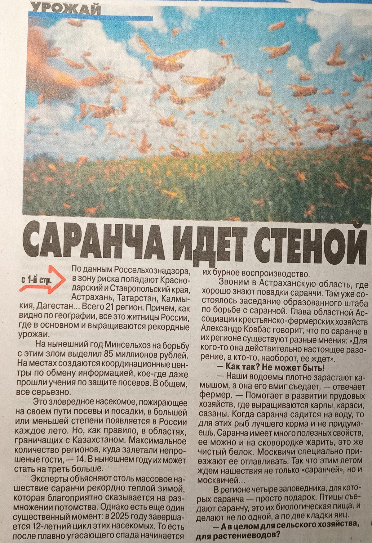 Какие москвичи любят саранчу? Признавайтесь!