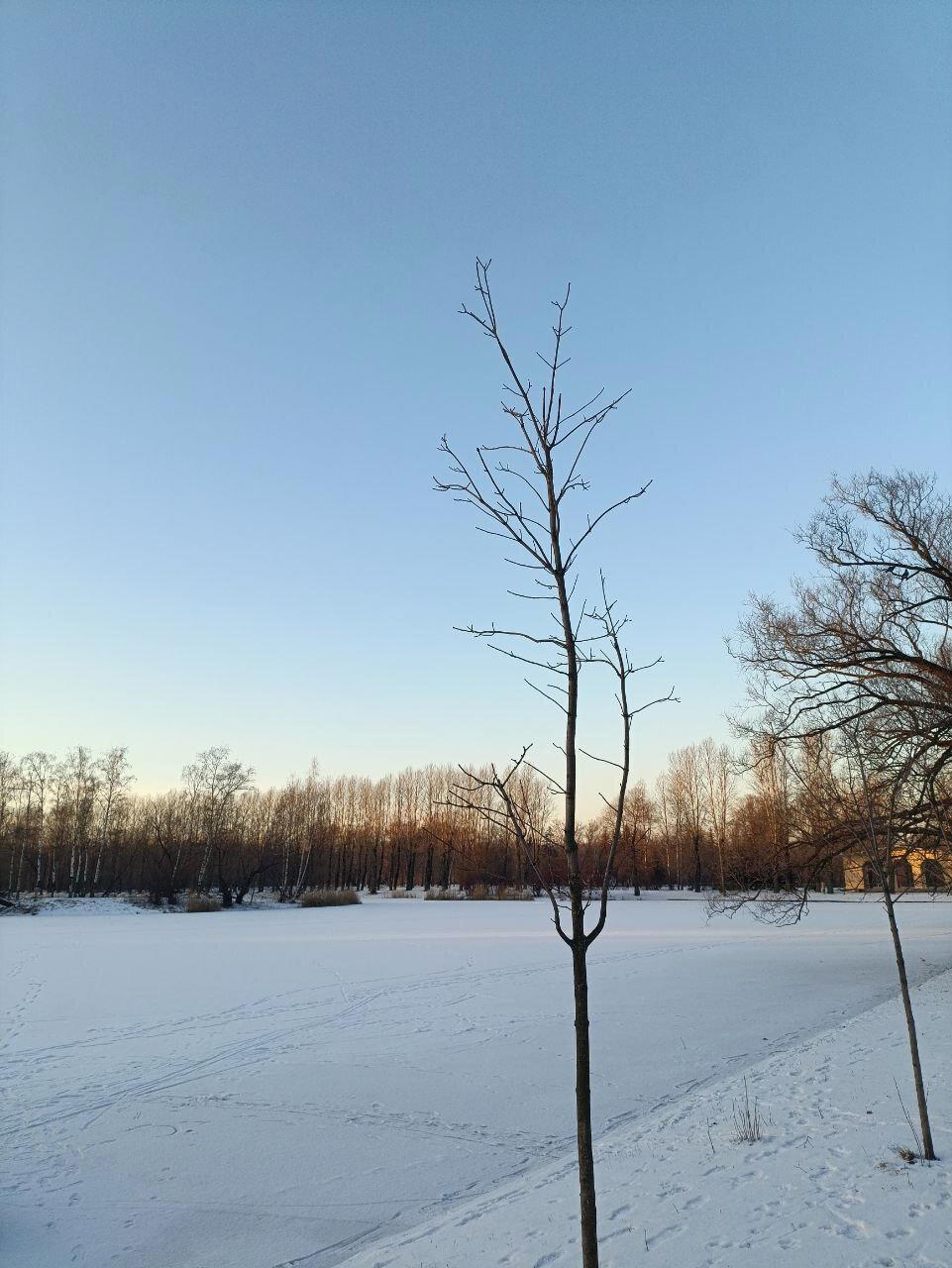 Опять снег. Неожиданно. Небольшой. Фото.
