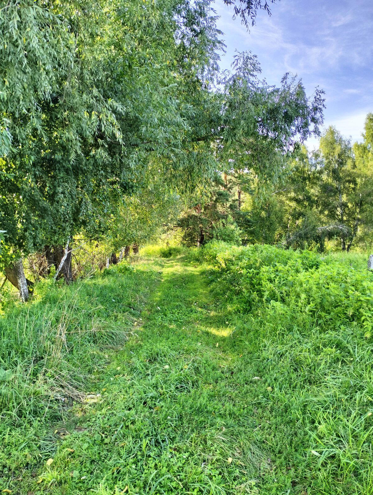 Хочуууу лета...хочу в лес...
