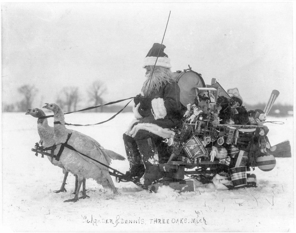 Санта в санях, запряженных индейками, 1909 год.