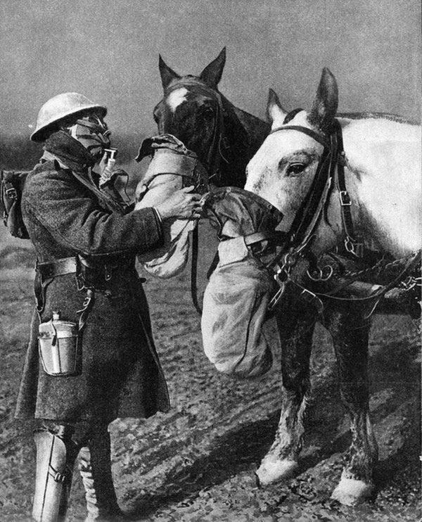 Противогазы для лошадей. Первая мировая война, 1918 год