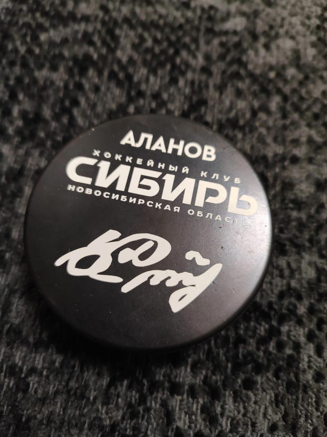Коллекция шайб ХК Сибирь