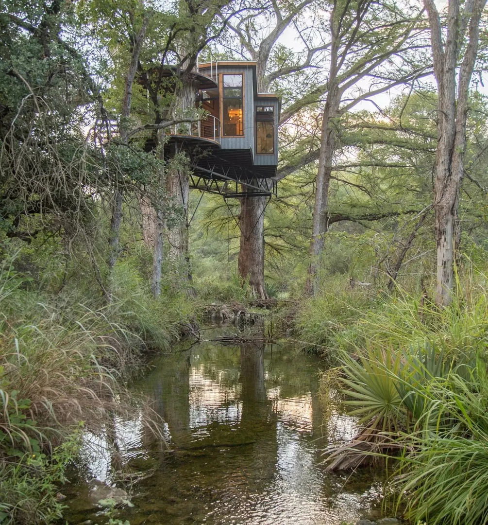 Над ручьем, на высоте семи метров, обвивая кипарис, вяз и ель, подвис Yoki Treehouse