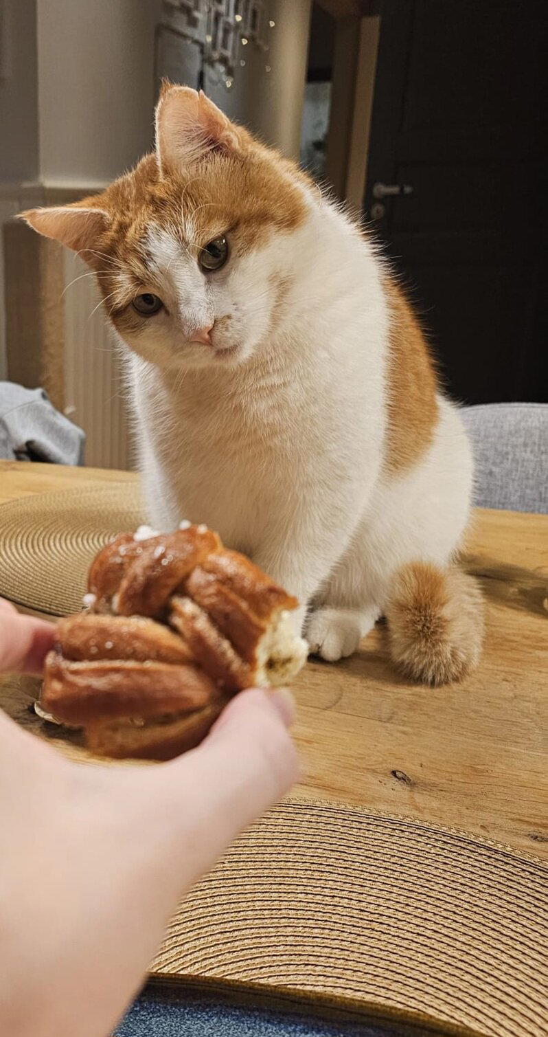 СОМНЕНИЯ