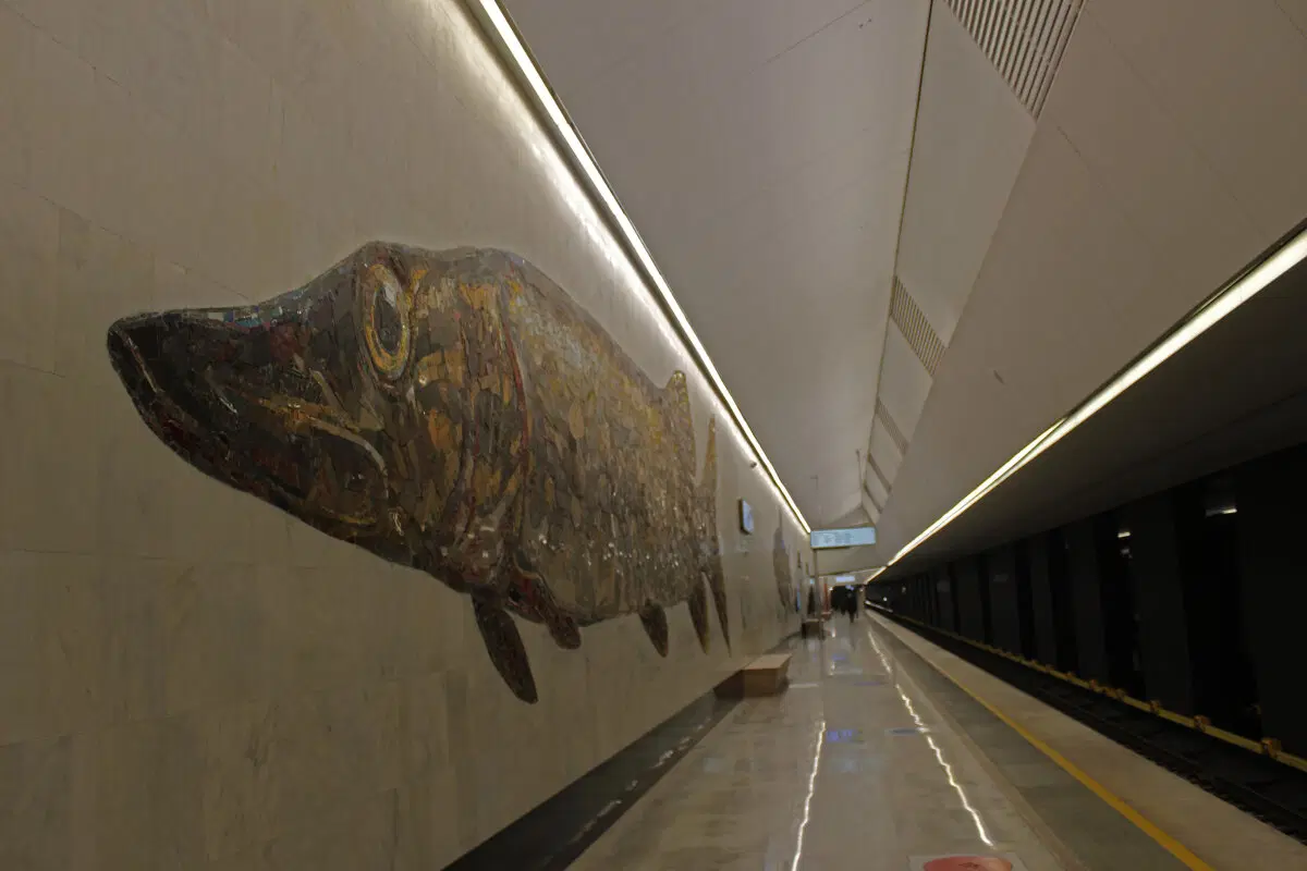 Рыбы в метро