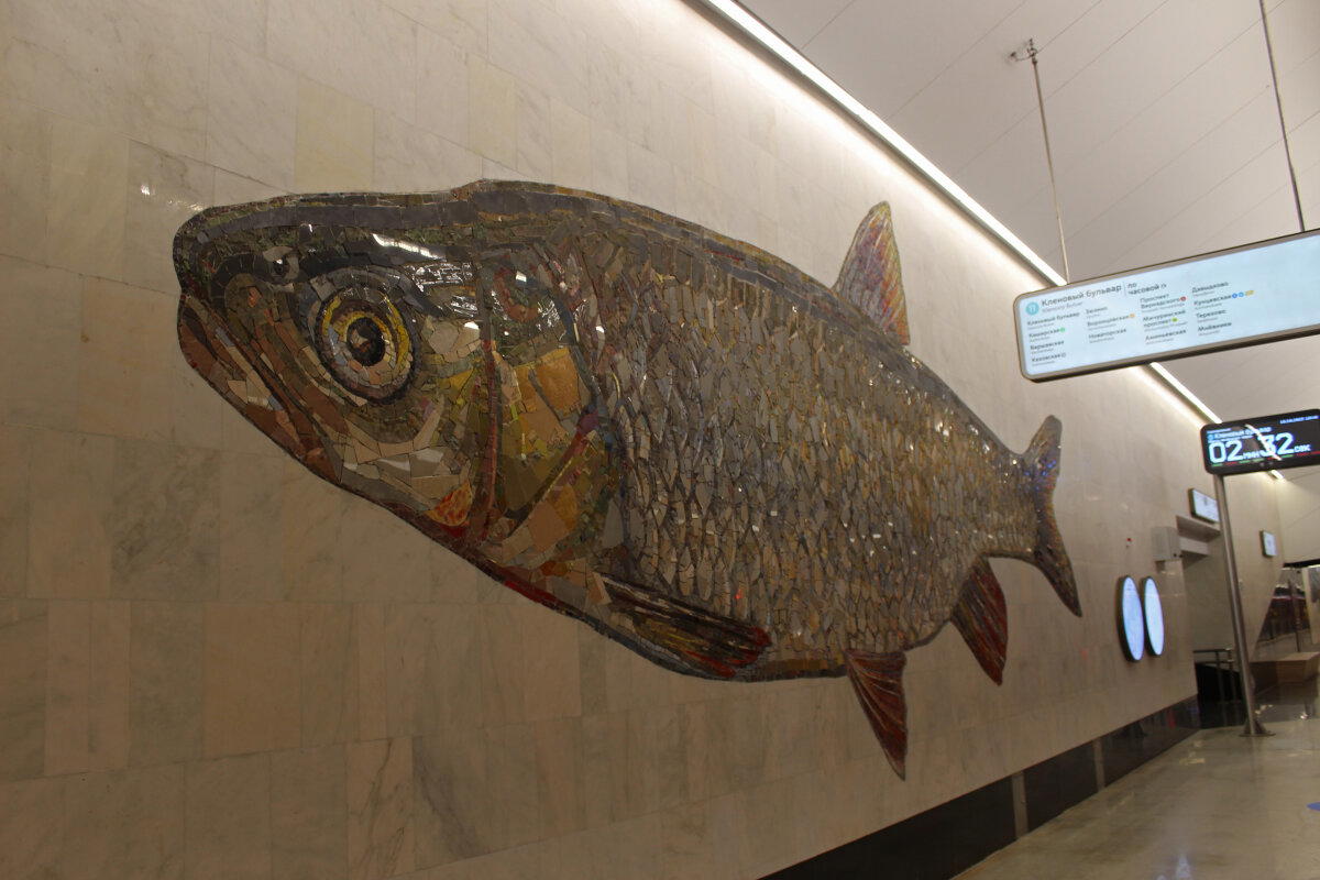Рыбы в метро