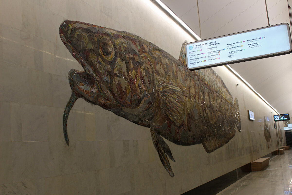Рыбы в метро