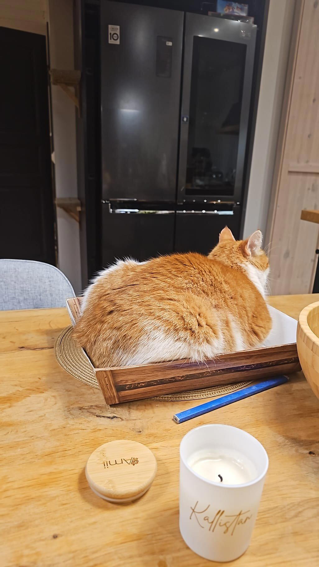 Тортик
