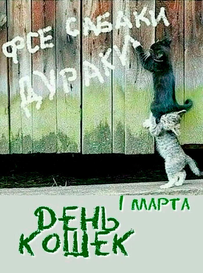 Все сабаки дурачки.