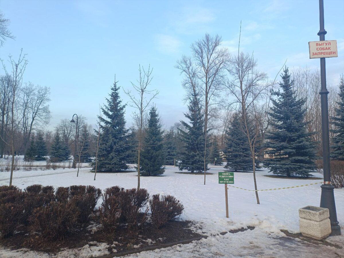 Синее небо в марте, зимой. Фото.
