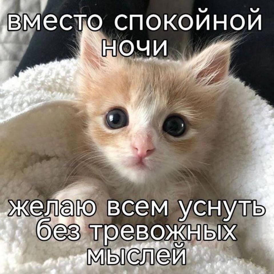 Мемное воскресенье