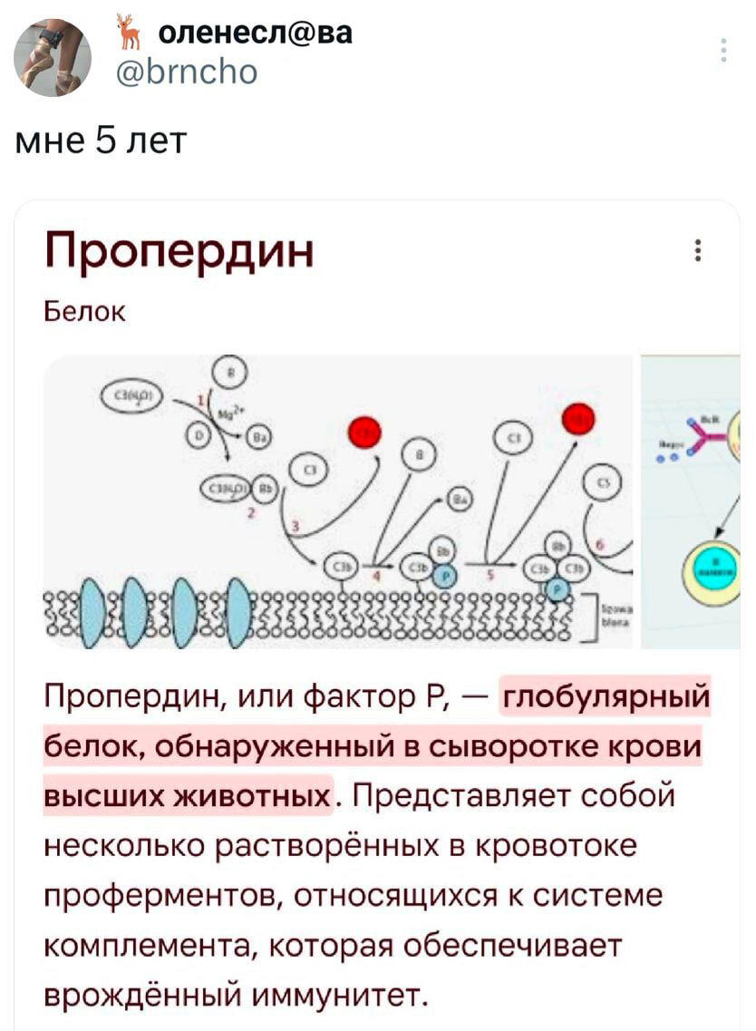 Мемное воскресенье