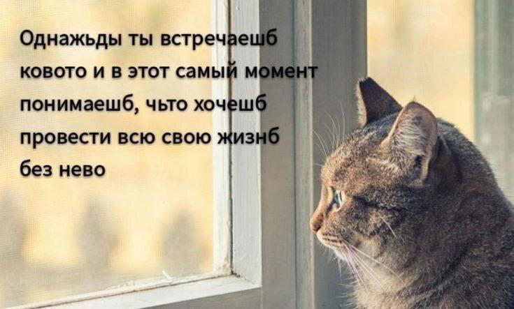 Мемное воскресенье