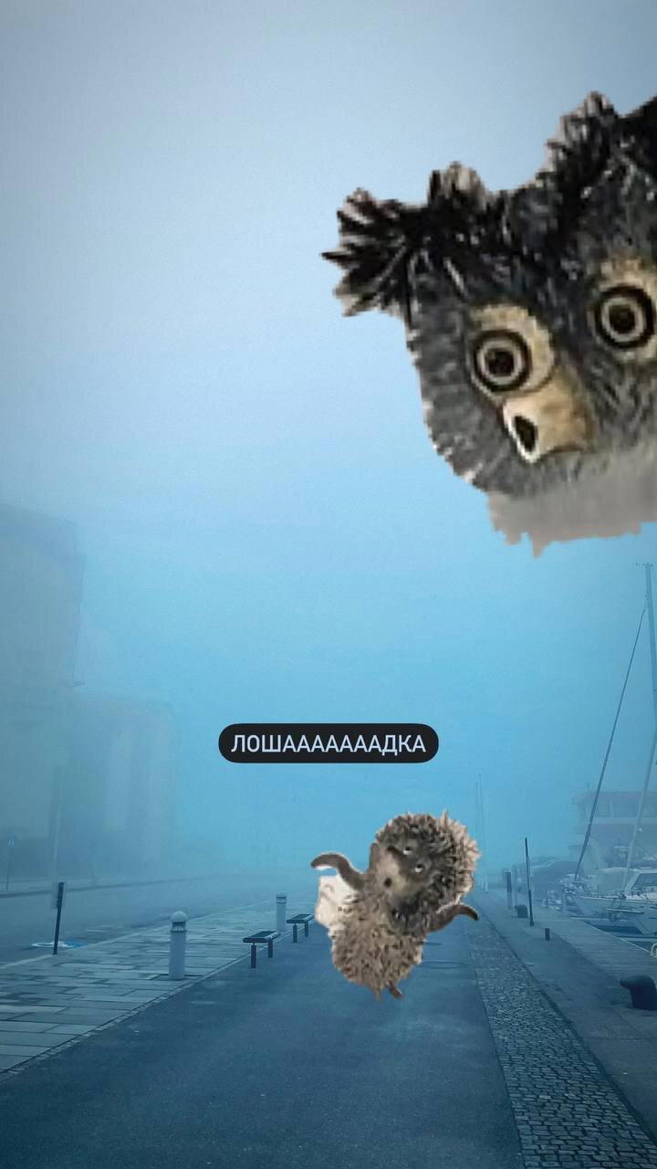 Такой туман уже неделю х)